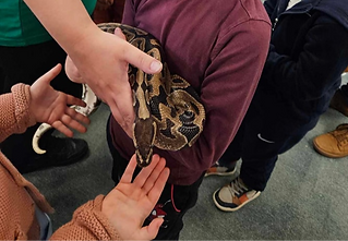 Child holding a snake