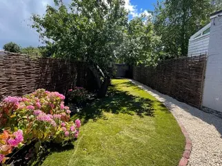 Landscaped garden featuring woven willow fencing green lawn gravel path and pink hydrangea bushes