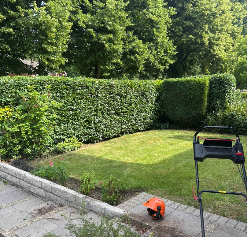 Neatly trimmed garden with hedges