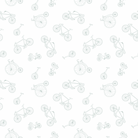 FIETSEN_edited.png
