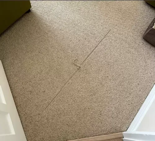 Carpet pet damage