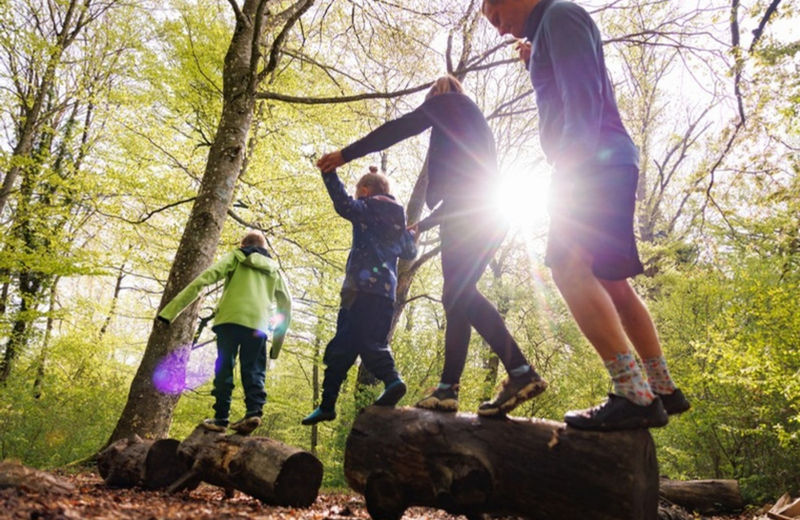 Kinder und Erwachsene balancieren im Wald über Baumstämme