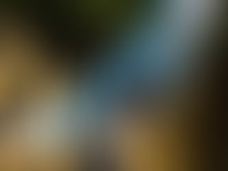 RadCow project hits 70 MILLION views