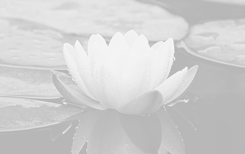 water-lily-7287256_1280_edited_edited.jp