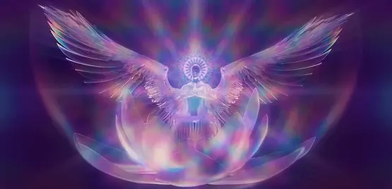 Angel pic.webp