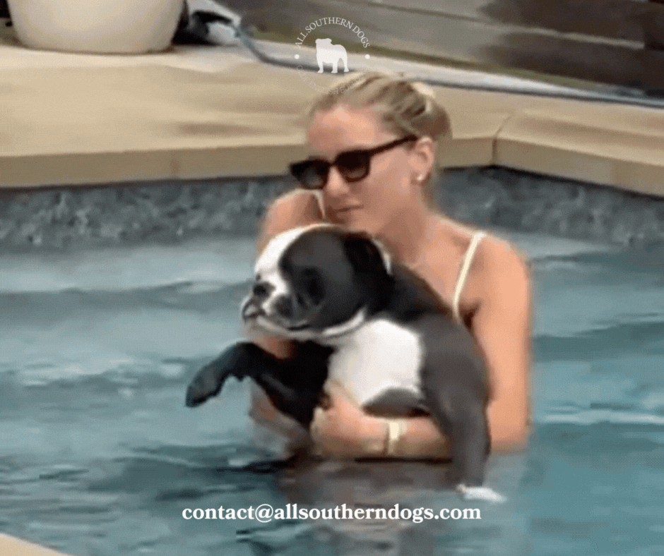 Charllotte Swimming.gif