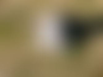 Remember Bowser? Here’s How He’s Turning Out