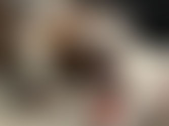 Time for Another All Southern Dogs Update