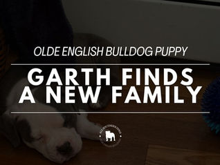 Garth Goes Home: His New Family Is In Love!