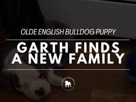 Garth Goes Home: His New Family Is In Love!