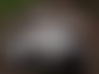 Is an Olde English Bulldog Right For You?