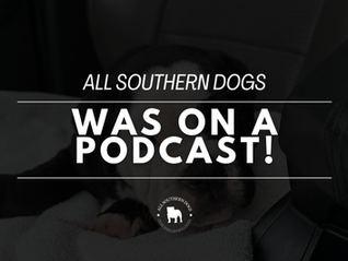 All Southern Dogs Was on a Podcast!