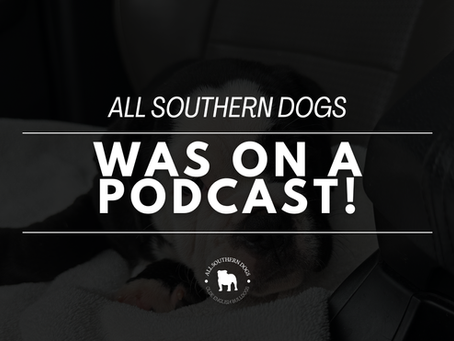 All Southern Dogs Was on a Podcast!