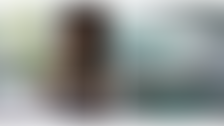 9 Trending Feature Wall Ideas for Spa Interior Design