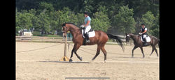 Taylor and Giorgio Chatt hills