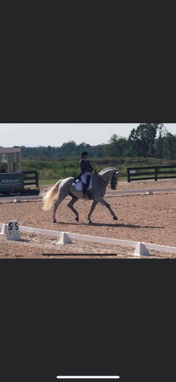 Taylor and Gandalf PSG Tryon