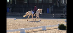 Taylor and Mystic
