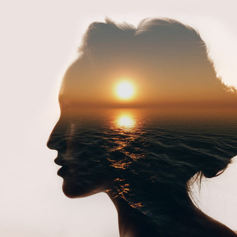 Meditation and Covid