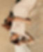 R2B7122-2000x2431.jpg