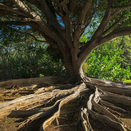 Hoe blijf je bij jezelf wanneer iets je overweldigt?