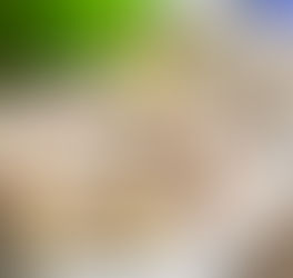 Настоящие американские пончики 75р