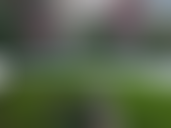 梅雨明け前の最後のフライト!?