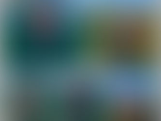 記念日のモーターパラグライダー体験