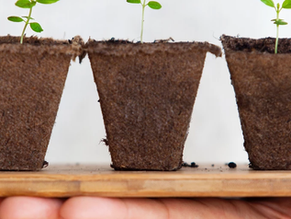 Start Developing A/E Leaders Today