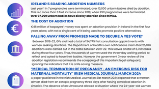 4 Reasons to Vote Life
