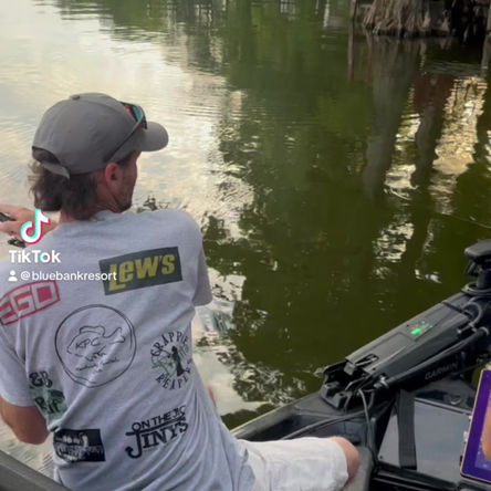 Shorline Fishing in the Trees