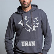 UNAM.jpg
