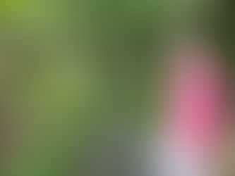 Delta Louise and Her Servant's Heart