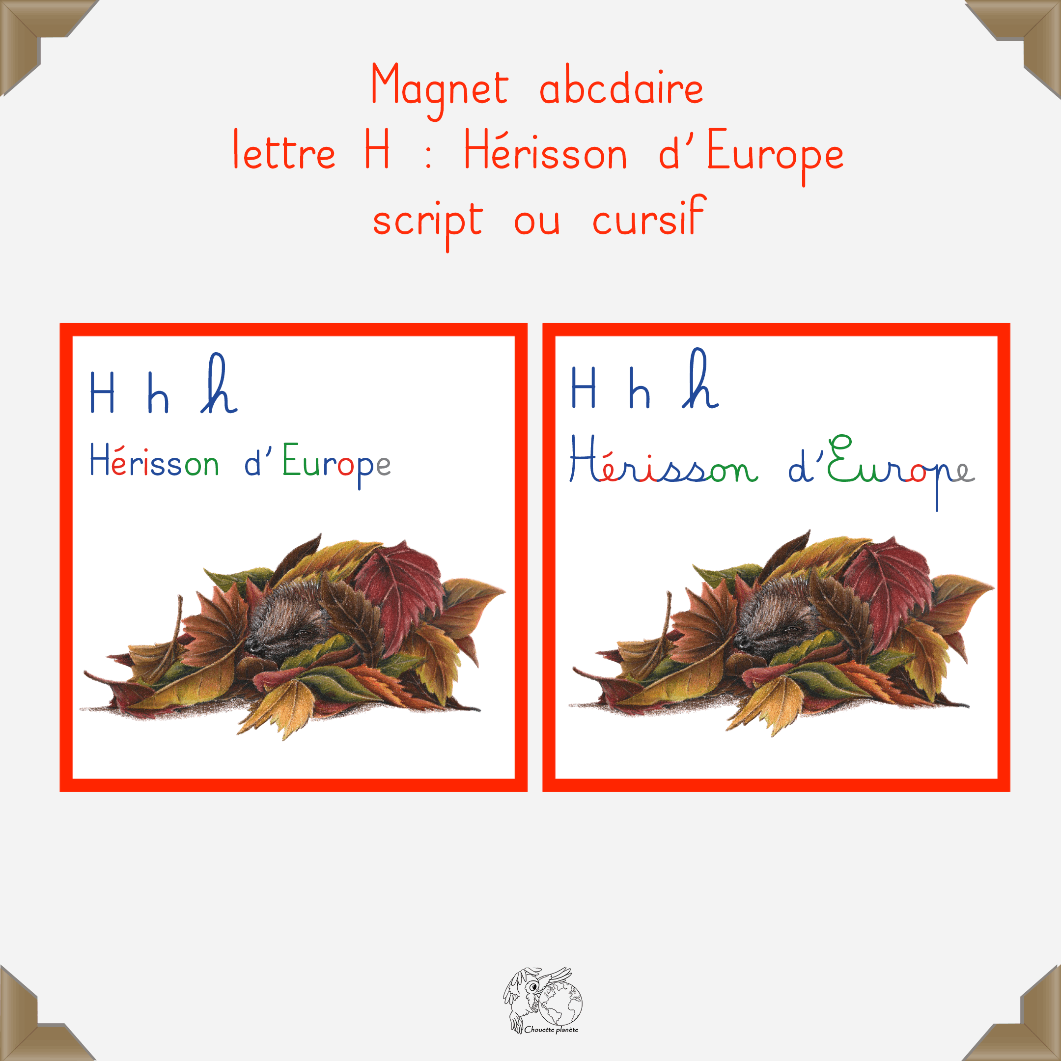 Magnet hérisson d'Europe 