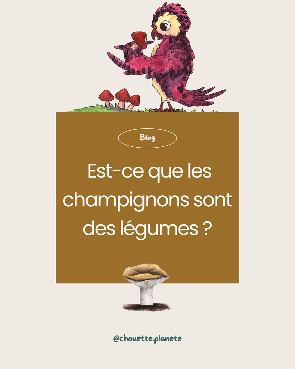 Est-ce que les champignons sont des légumes ?