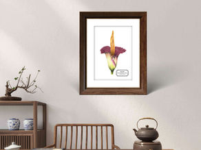 Éclosion Titanique : L'Arum titan