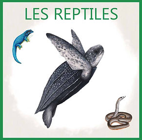 les reptiles.jpg