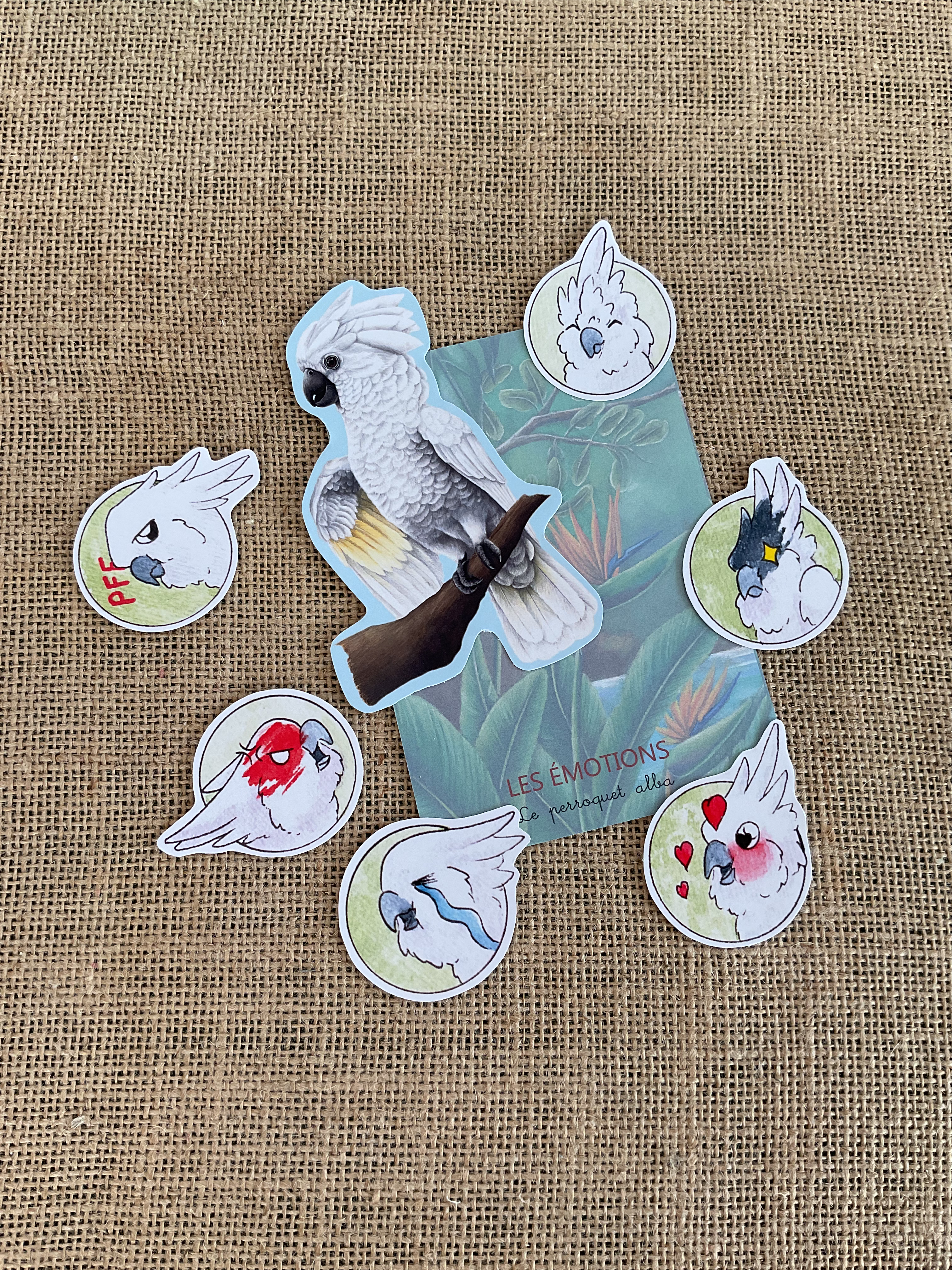 Kit stickers des émotions cacatoès alba 