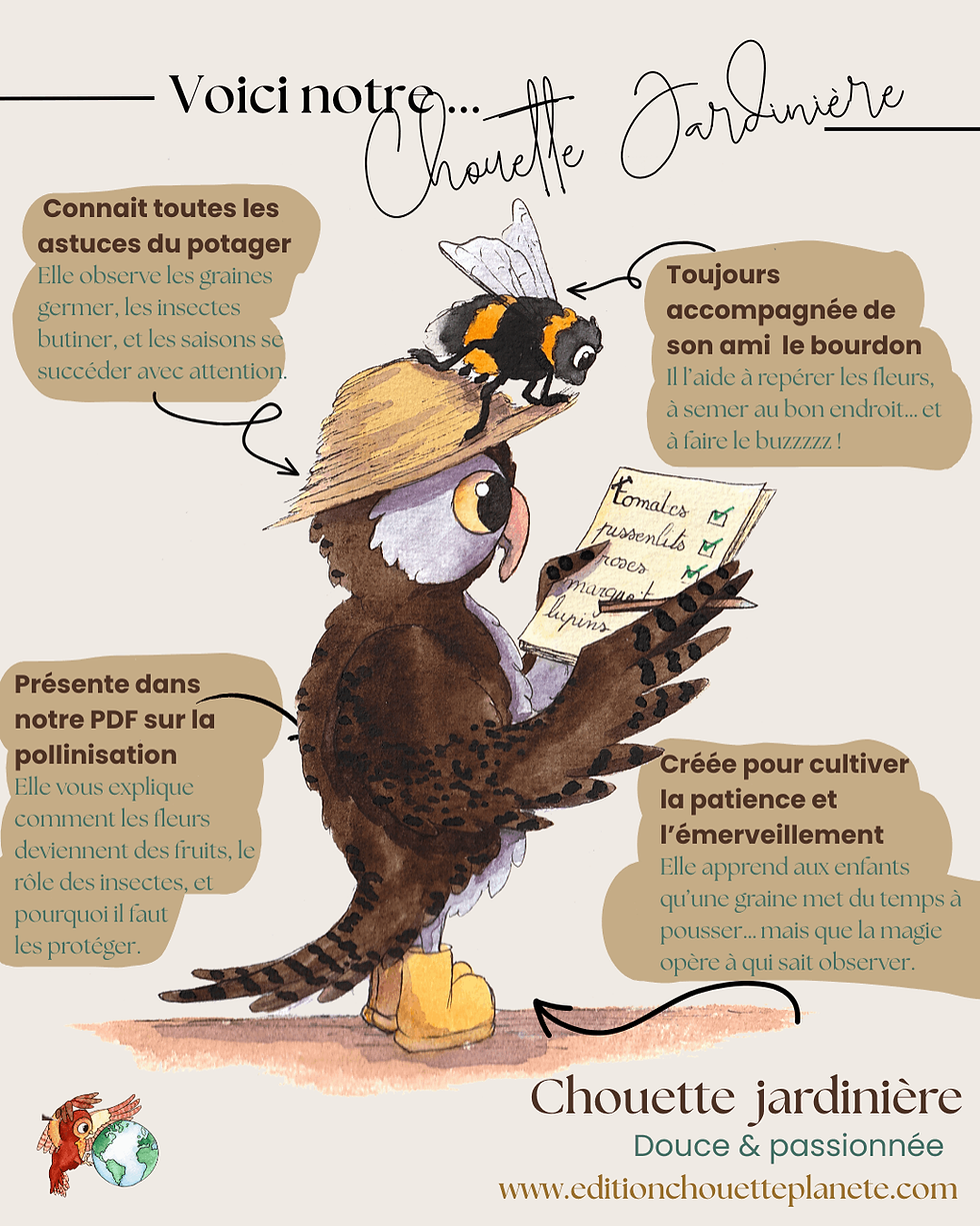 Miniature : Chouette jardinière illustrée expliquant la pollinisation de façon simple et ludique