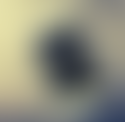 "Conversation Piece" by Maria Carvalho