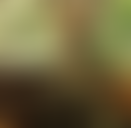 "My Divorce from the Indian Gods", "Mutton Chops", "Humble Pie", "New Age Romance", "A Mother–Daughter Tartare"….by Shreya Datta