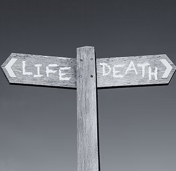 "Life Accounts" by KL Nykwest