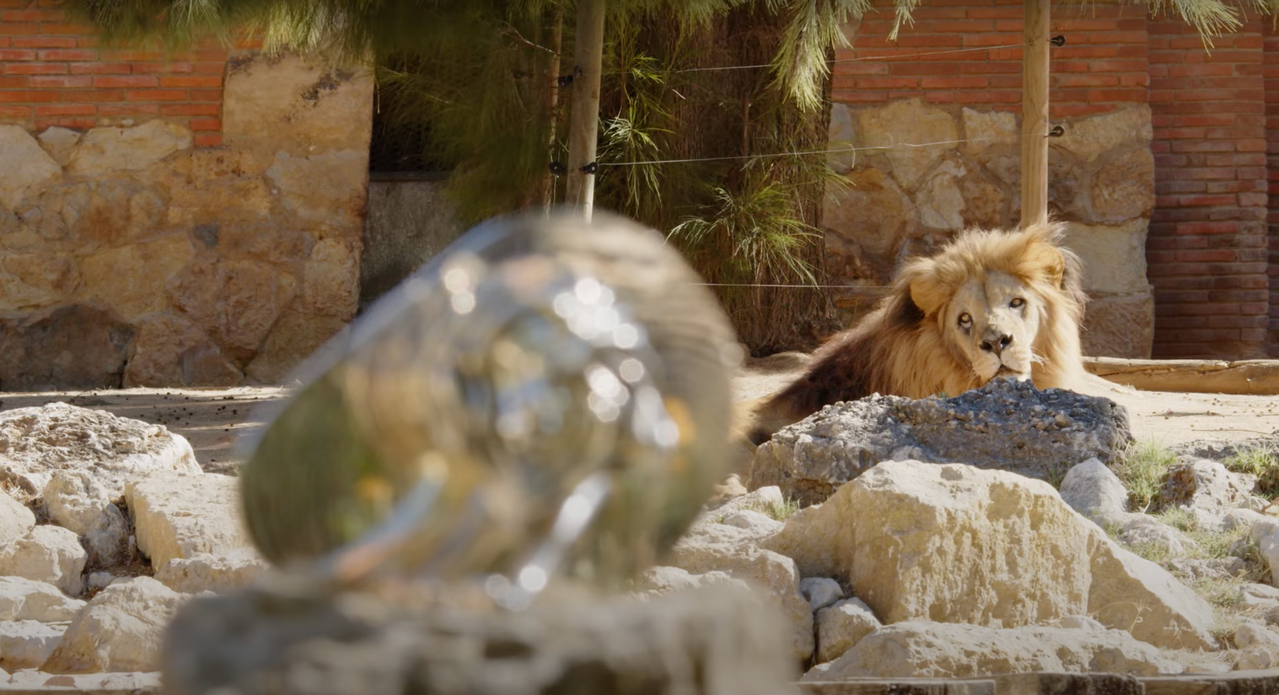 Lion and Cannes Lion.png