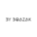 By Boazak SEO logo