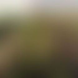 Can you trust a word? How Advertising has changed how we buy food.