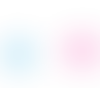 sdr-bottom.png