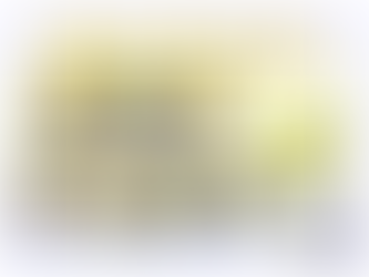 15th February 2019: Stars of the Week