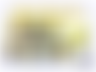 15th March 2019: Stars of the Week