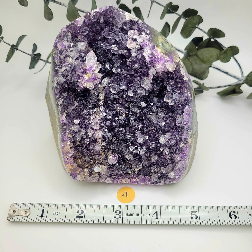 Thumbnail: Large purple amethyst geode with measuring tape, crystals and dried leaves.
