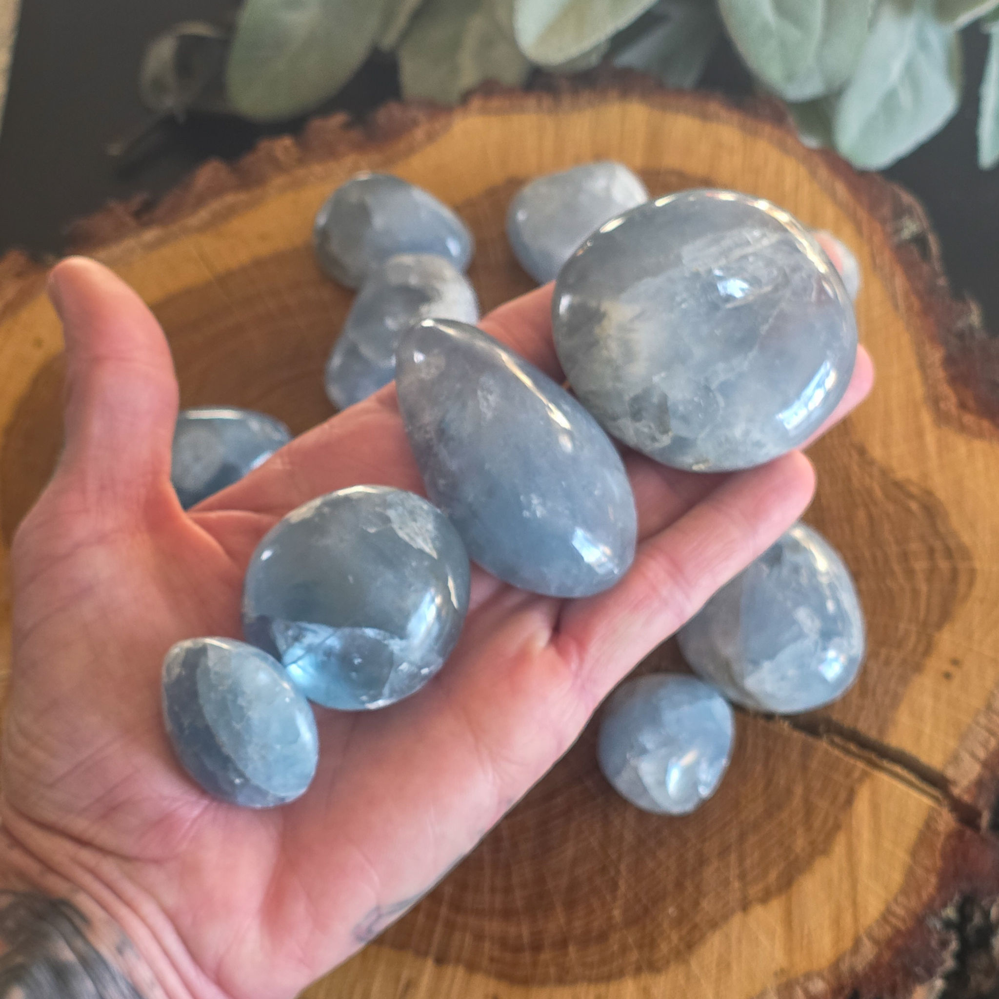 Celestite Hand-Polished Palm Stones- Ethically Sourced from Madagascar- AA Grade