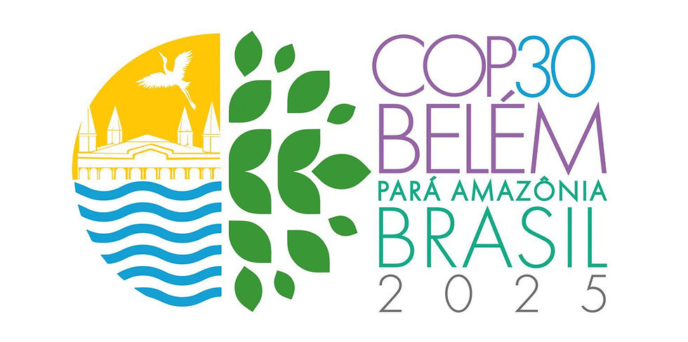 COP30: A Nova Era Verde dos Cosméticos Brasileiros